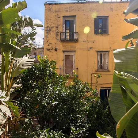 Connect * Naples