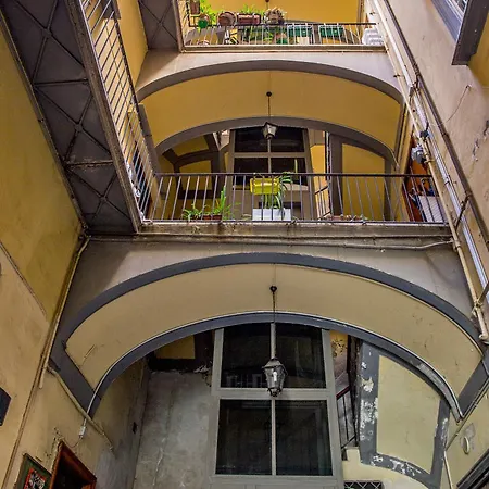 Connect Naples