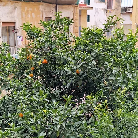 Connect Guest house Naples