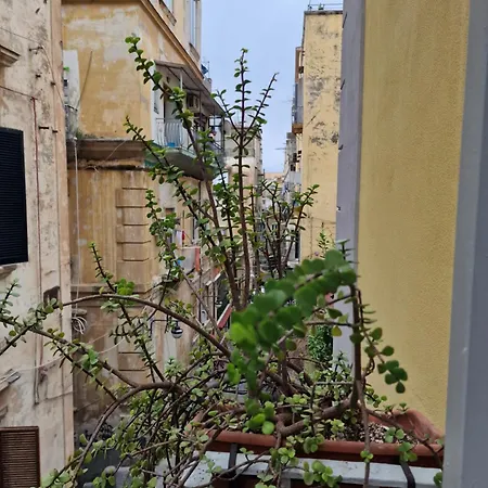Connect * Naples